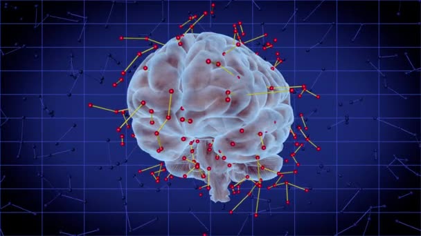 Cerebro humano giratorio — Vídeos de Stock