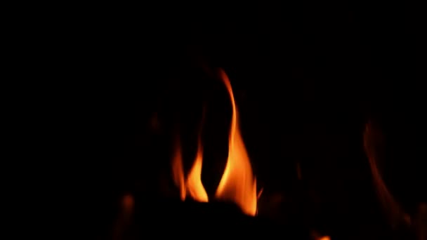 Firewood burning in fireplace — Stock Video