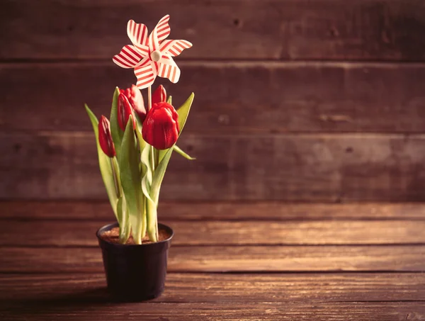 Куча тюльпанов и игрушек на столе — стоковое фото