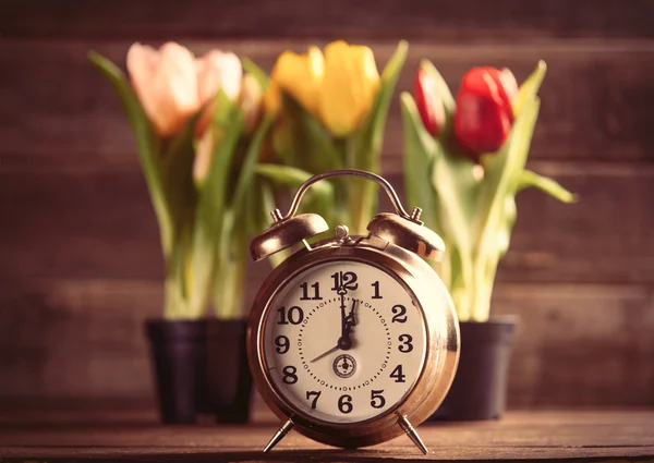 Cachos de tulipas e relógio na mesa — Fotografia de Stock