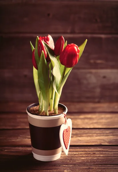 Пучок тюльпанов в чашке — стоковое фото