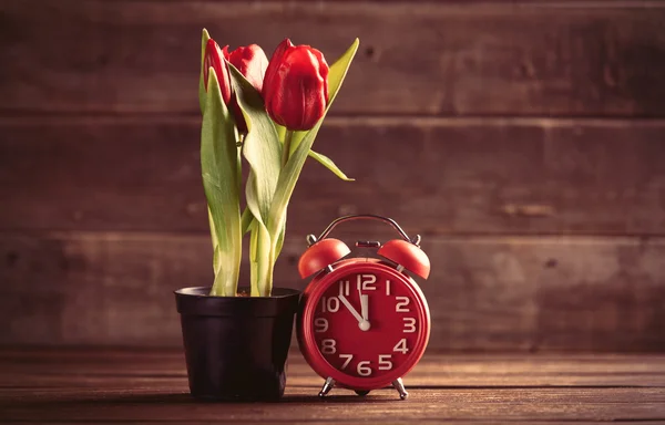 Um monte de tulipas e relógio na mesa — Fotografia de Stock