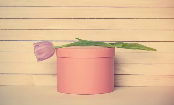 Тюльпан и подарок на столе — стоковое фото