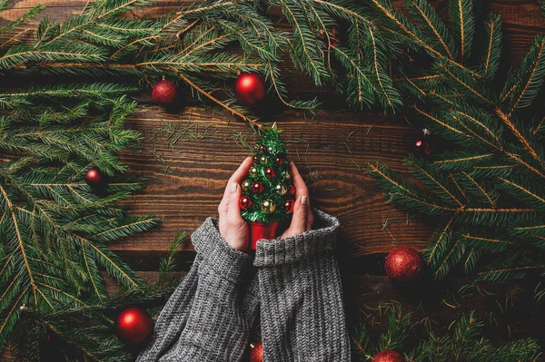 Les Mains Féminines Tiennent Petit Arbre Noël Côté Décoration Branche — Photo