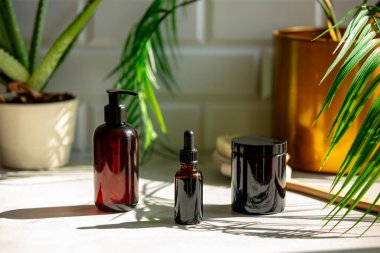 İki siyah şişe ve bir kavanoz palmiye ağacının yanındaki banyoda. 