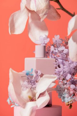 Turuncu arka planda kozmetik ve manolya dalı 