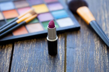 Makyaj paleti ve ruj için fırçalar