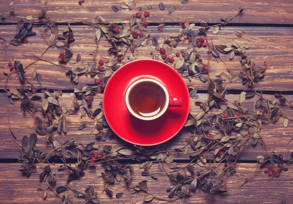 En kopp te och örter — Stockfoto