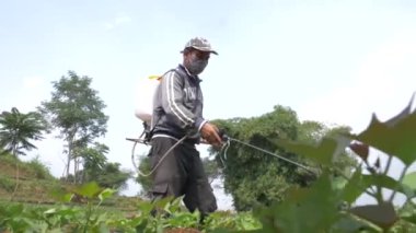 Bandung, Batı Java, Endonezya - 7 Haziran 2021: Bir çiftçi bahçesine manüel sprey sıkmış.