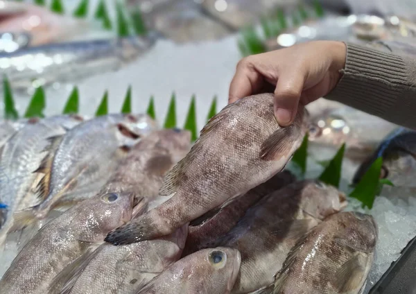 Female hand holding fish in the fish market