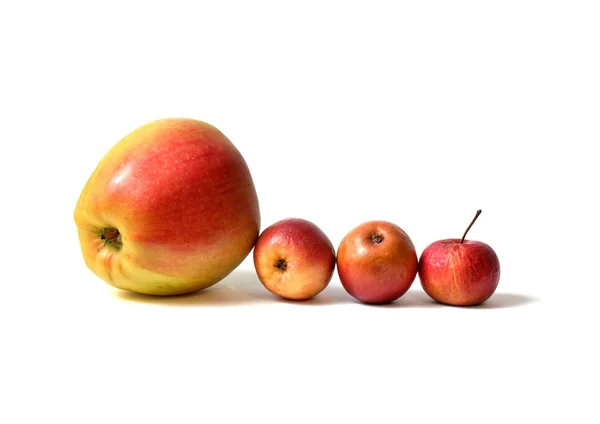 Beyaz arka plan üzerinde dört elma