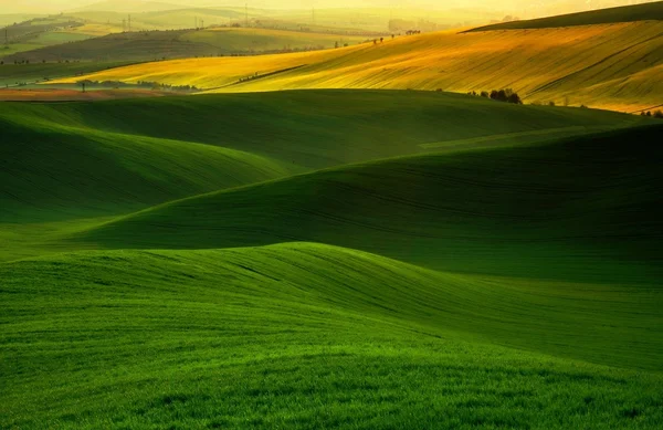 Groene droom — Stockfoto