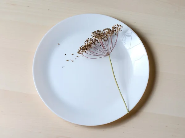 dereotu beyaz plaka üzerinde