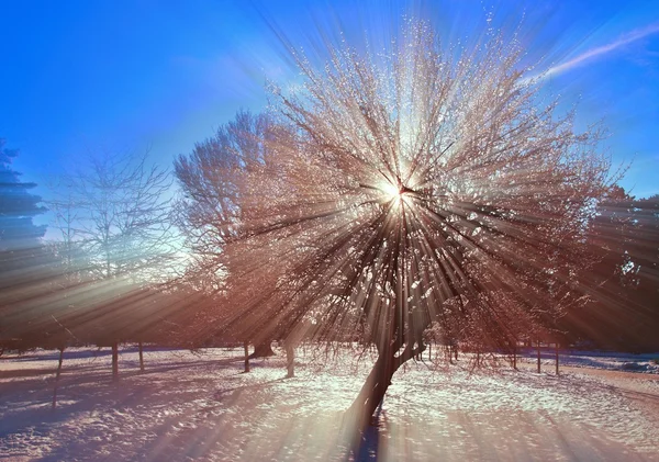 güneş ışınlarının