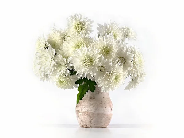 Chrysanthèmes blancs dans un vase en céramique sur fond blanc — Photo