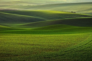 Bugün South Moravia içinde