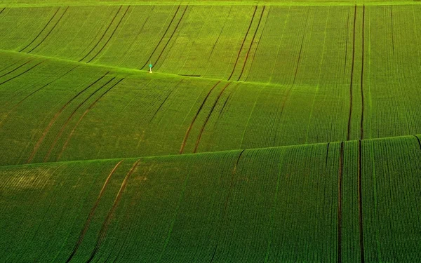 Kış yeşil dalgalar