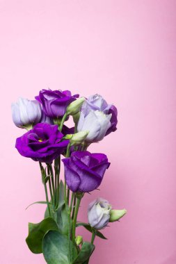 Eustoma çiçeklerini kapat