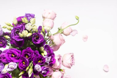 Eustoma çiçeklerini kapat