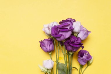 Eustoma çiçekleri üst görünüm