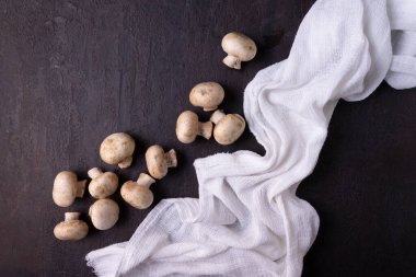 Siyah arka planda taze mantarlar. en üstteki görünüm.