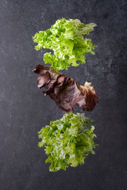 Koyu arkaplanda marul yaprakları