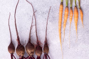 Gri alçı arka planda kökleri olan pancar ve havuçlar.