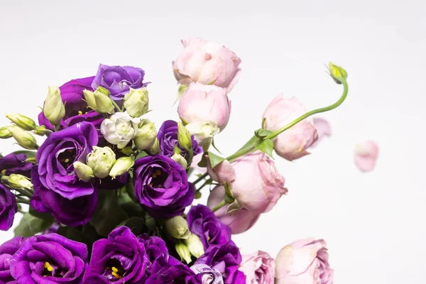 Eustoma çiçeklerini kapat