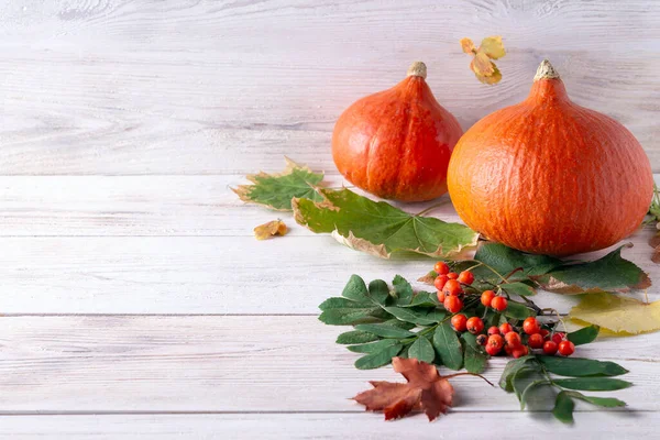 Calabazas Halloween Hojas Otoño Sobre Fondo Madera Blanca — Foto de Stock