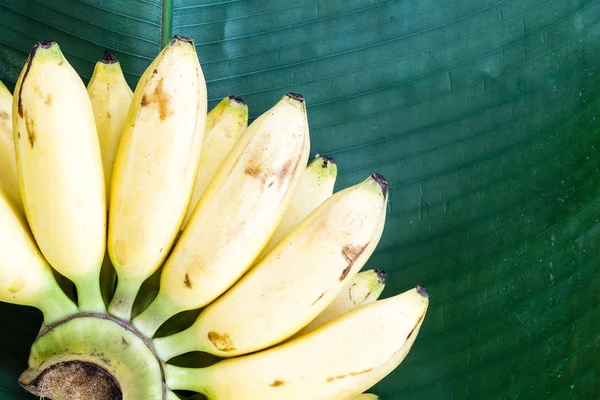 Fresh yellow banana on green leaf — Stock Photo, Image