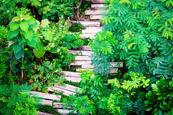 Camino de traviesas de madera en el jardín (vista superior en el parque ) —  Fotos de Stock