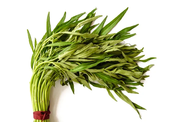 Water Convolvulus or Water spinach or Morning Glory on white bac