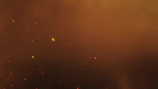 Літаючі Виноградарі Вогню Спалювання Гарячого Багаття Вогню Іскри Піднімаються Темному — стокове відео