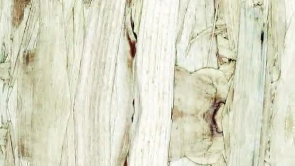Draufsicht Distressed Grunge Wood Textur Hintergrund Animierte Bewegte Schleifenbewegung Grungy — Stockvideo