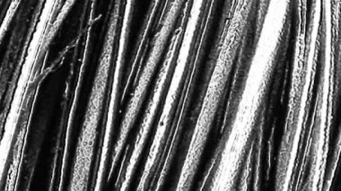 Grunge yüzeyinin hızlı hareket etmesinin soyut siyah ve beyaz döngülü animasyonu ışık ve gölgeli kıllar oluşturur. Soyut geçiş arkaplanı, 4K 3B grungy doku hareketi pürüzsüz döngü.