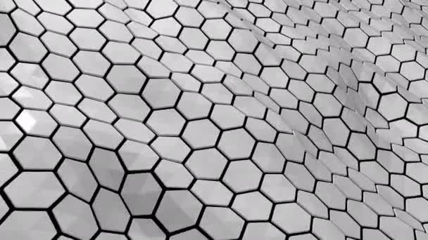 Hexagonal Branco Cinza Fundo Mínimo Forma Geométrica Branca Colmeia Ondas — Vídeo de Stock