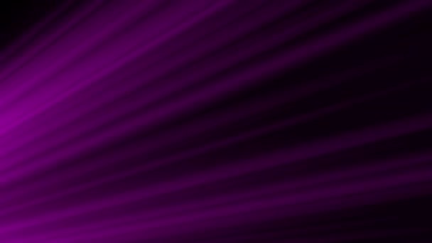 要約光フレアストリークライトビジュアルアイデンティティビデオプレゼンテーションの背景に紫色の光のシームレスなループアニメーション 4Kループコンサートライトテンプレート パフォーマンス プレゼンテーション — ストック動画
