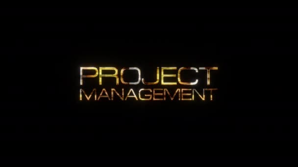 Animatie Van Project Management Gouden Tekst Flitsend Omhoog Bewegend Grafisch — Stockvideo