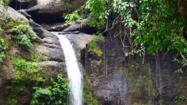 Tropikal yağmur ormanlarındaki Şelale 'ye yakın, Haew Suwat Şelalesi Khaoyai Ulusal Parkı, Asya, Tayland. 4k 