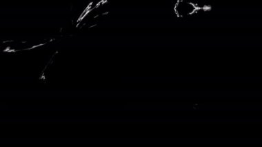 Soyut Simetrik Siyah 'tan Beyaz Akışkan Geçiş Arkaplanına 4K Görsel video efektleri Görüntü Geçişi geçiş için siyah-beyaz dönüşüm, görüntü düzenleme için alfa matte etkisi.