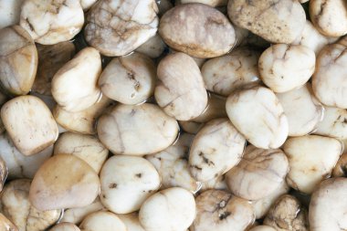 ıslak nehir taşları arka plan