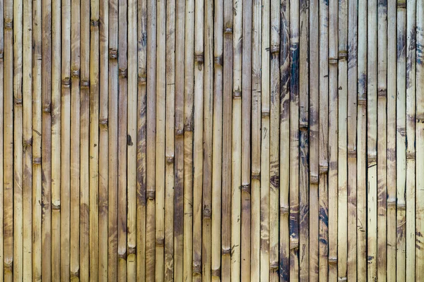 Bambu trä textur för din bakgrund — Stockfoto