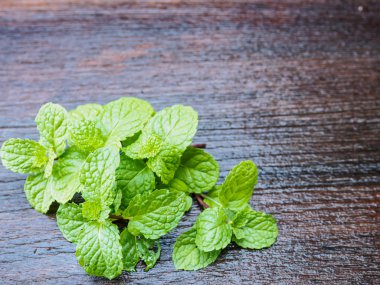 Ahşap yeşil taze nane yaprağı