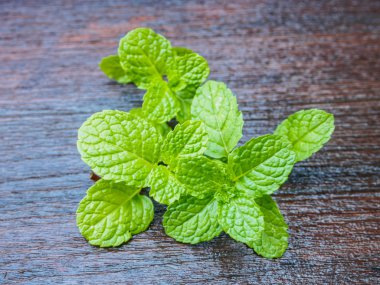 Ahşap üzerinde taze nane 