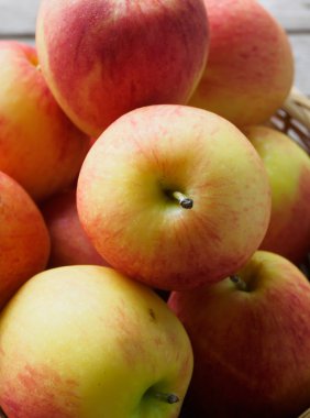 Elma meyve grubu
