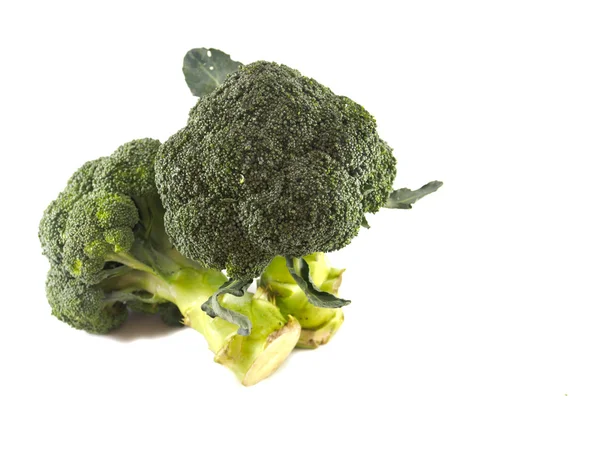 Green fresh broccoli  of Isolated — Stock Photo, Image