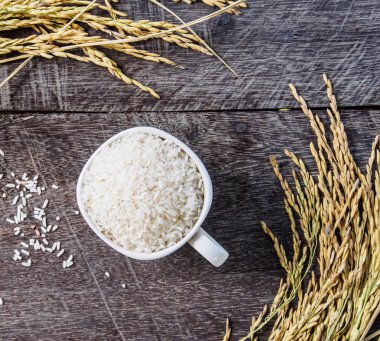 Pirinç beyaz Kupası ve spike