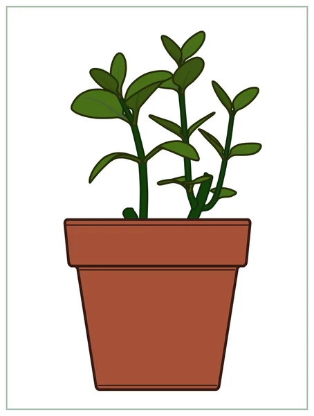 Potted Plant. Houseplants. Vector. — Stock Vector