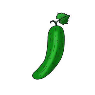 Resim, beyaz bir arka planda yapraklı, izole edilmiş yeşil bir salatalık gösteriyor. Parmak izleri, kumaş çizimleri, duvar kağıtları, arka planlar, menüler, broşürler, kartpostallar, davetiyeler için.