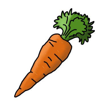 Resim, beyaz arka planda yeşil kuyruklu, sulu turuncu bir havucu gösteriyor. Parmak izleri, kumaş çizimleri, duvar kağıtları, arka planlar, menüler, broşürler, kartpostallar, davetiyeler için.